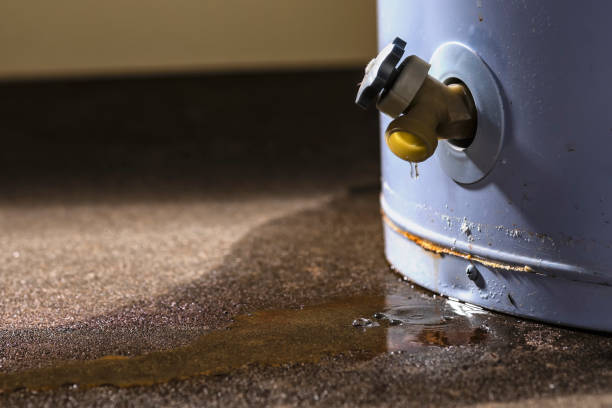 Best Sewage cleanup and water damage restoration  in Burbank, CA
