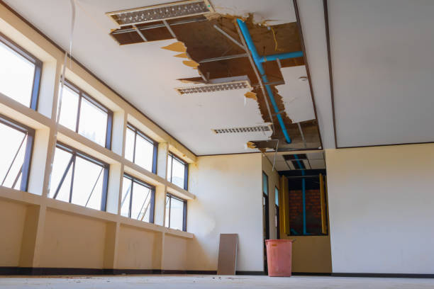 Best Local water damage restoration  in Burbank, CA