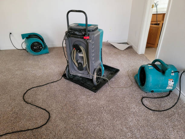 Best Water damage restoration near me  in Burbank, CA
