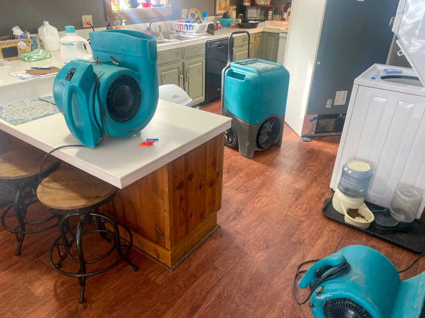Best Basement water damage restoration  in Burbank, CA