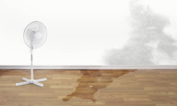 Best Carpet water damage restoration  in Burbank, CA