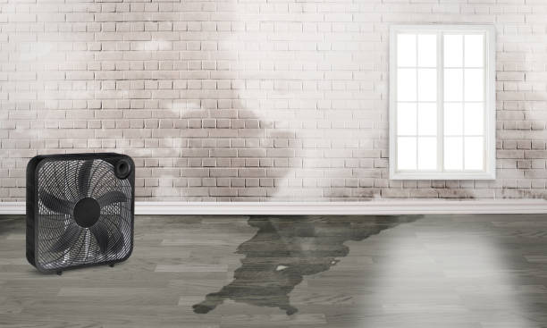 Best Ceiling water damage repair  in Burbank, CA
