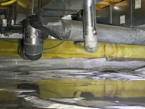 Best Mold removal after water damage  in Burbank, CA