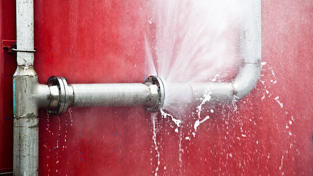 Best Flood damage cleanup  in Burbank, CA