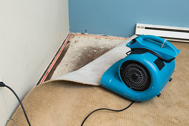 Best Sewage cleanup and water damage restoration  in Burbank, CA